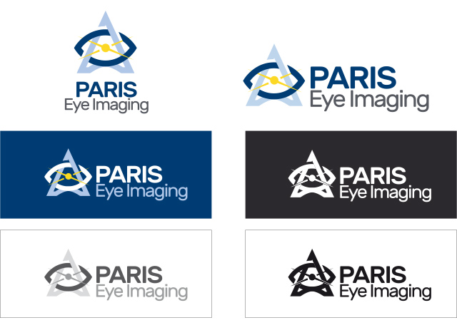 PARIS Eye Imaging Logo