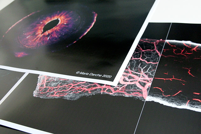 Posters 40x60cm - Paris Eye Imaging