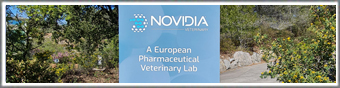 New roll-ups for Novidia