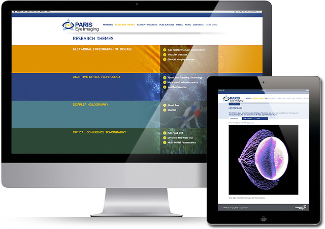 Paris Eye Imaging Website