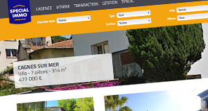 Website 2.0